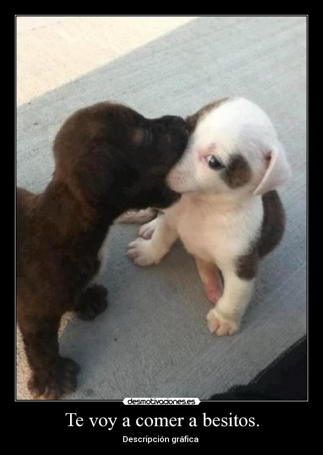Te voy a comer a besitos. -