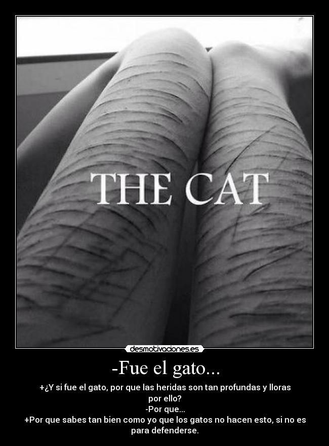 -Fue el gato... -