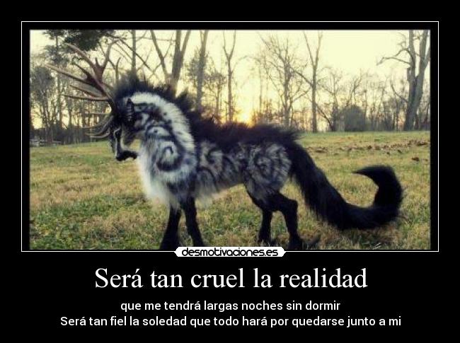 Será tan cruel la realidad - que me tendrá largas noches sin dormir
Será tan fiel la soledad que todo hará por quedarse junto a mi