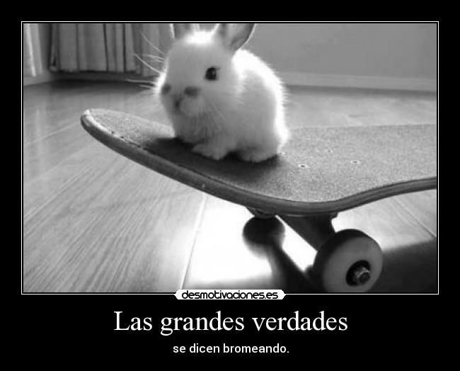 Las grandes verdades - se dicen bromeando.