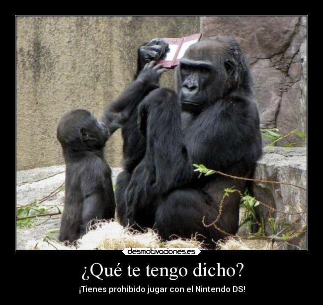 ¿Qué te tengo dicho? - ¡Tienes prohibido jugar con el Nintendo DS!