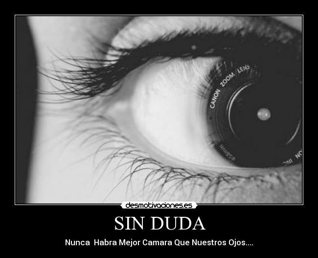 SIN DUDA - 