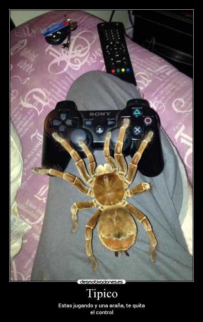 Tipico - Estas jugando y una araña, te quita
el control