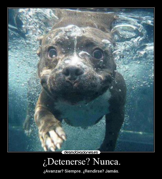 ¿Detenerse? Nunca. - ¿Avanzar? Siempre. ¿Rendirse? Jamás.