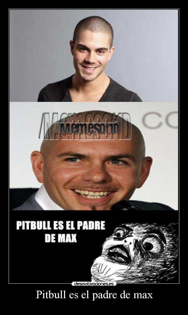 Pitbull es el padre de max -