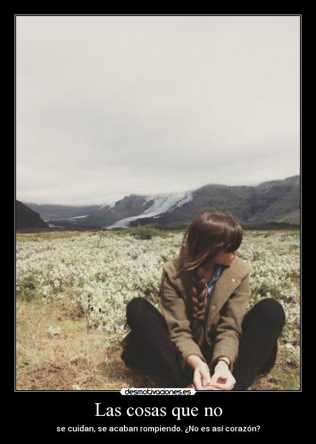 Las cosas que no - 
