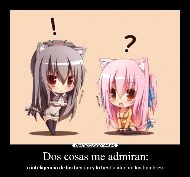 carteles animales voluntad desmotivaciones