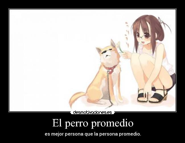El perro promedio -