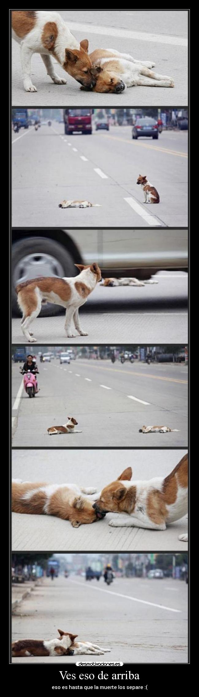 Ves eso de arriba - eso es hasta que la muerte los separe :(