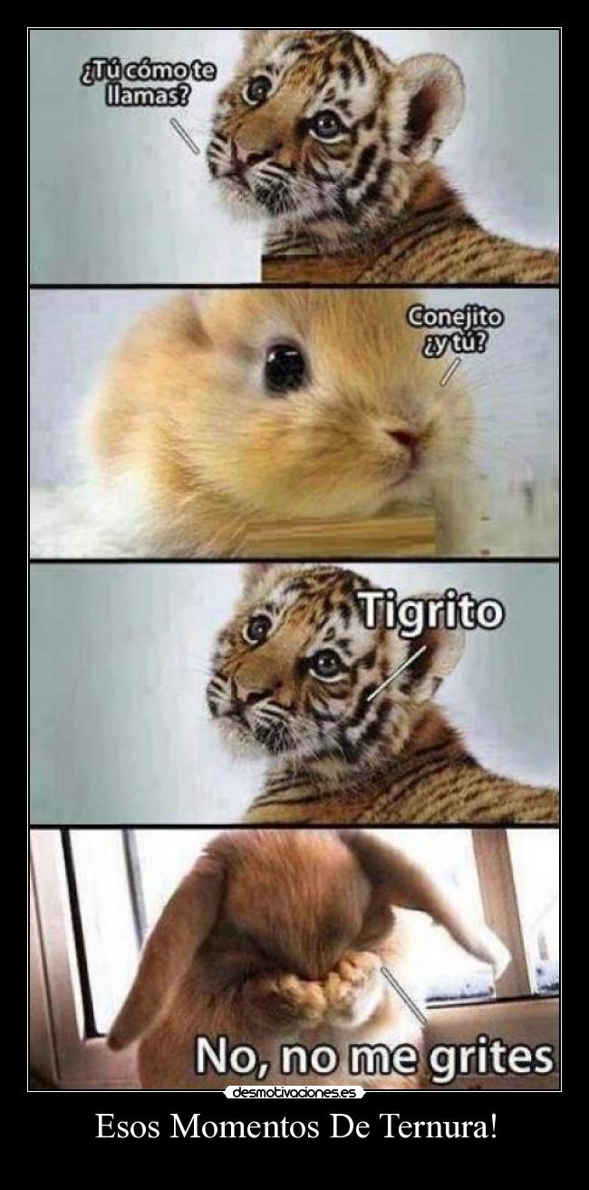 Esos Momentos De Ternura! -