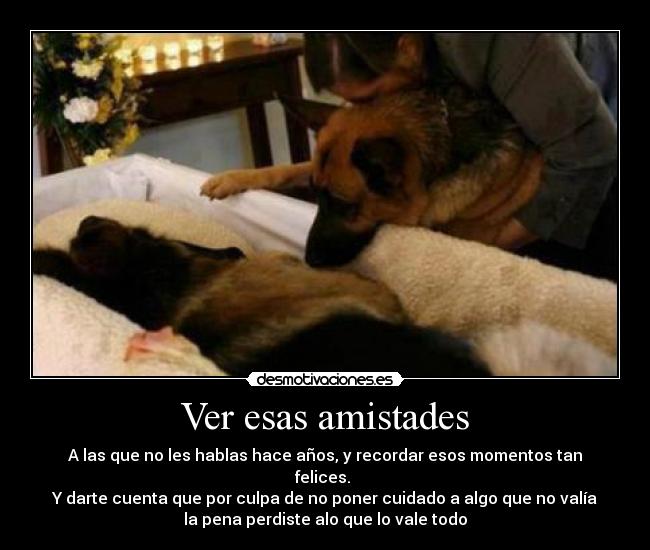 Ver esas amistades - 