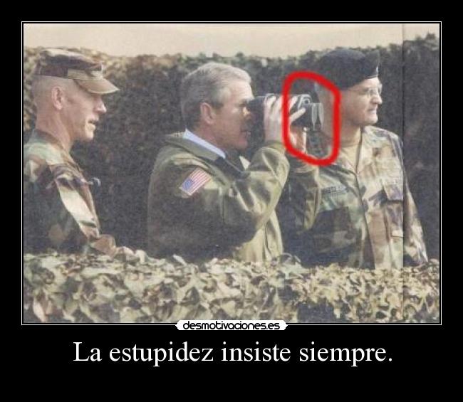 La estupidez insiste siempre. -