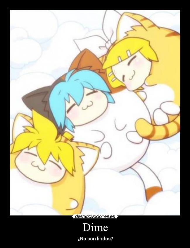 Dime - ¿No son lindos?