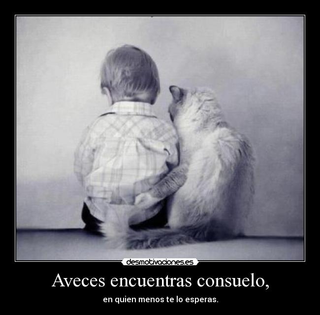 Aveces encuentras consuelo, - en quien menos te lo esperas.