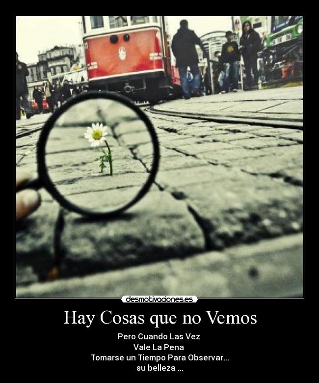 Hay Cosas que no Vemos - Pero Cuando Las Vez
Vale La Pena
Tomarse un Tiempo Para Observar...
su belleza ...