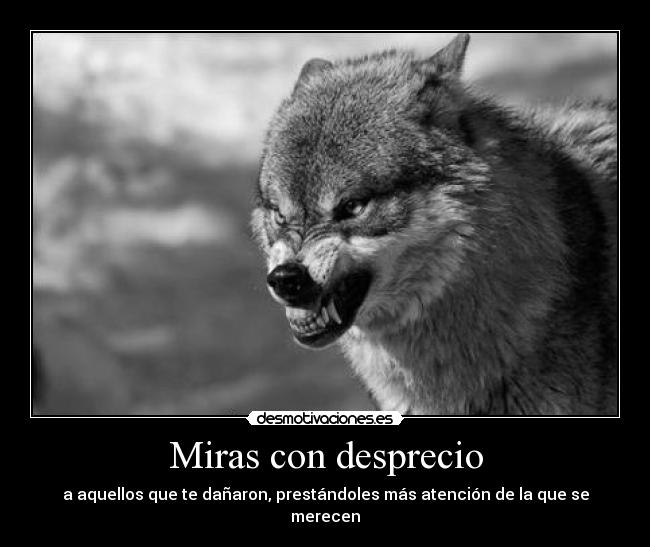 Miras con desprecio - 