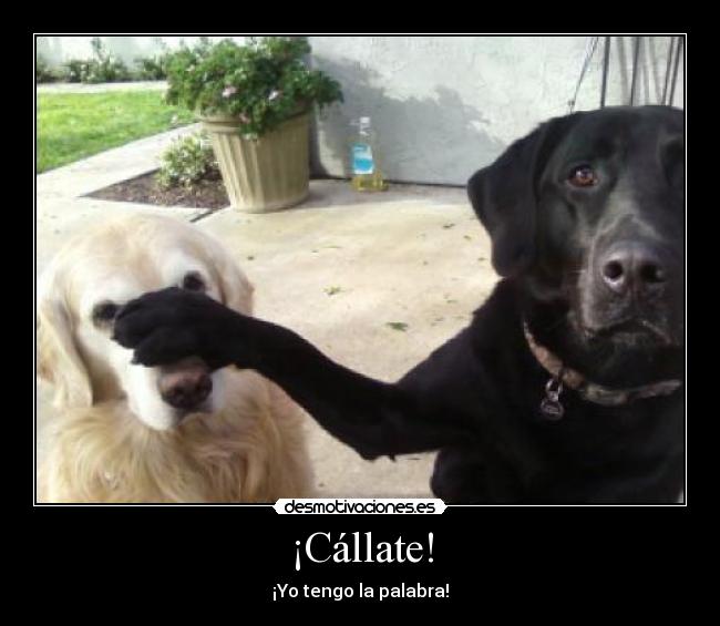 ¡Cállate! -