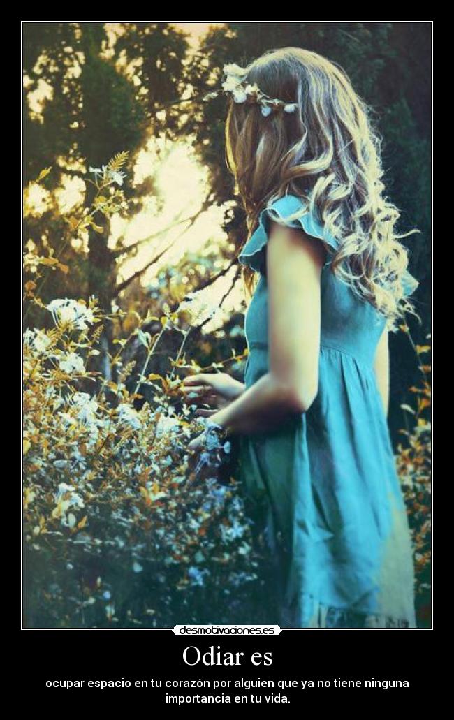 Odiar es - ocupar espacio en tu corazón por alguien que ya no tiene ninguna
importancia en tu vida.