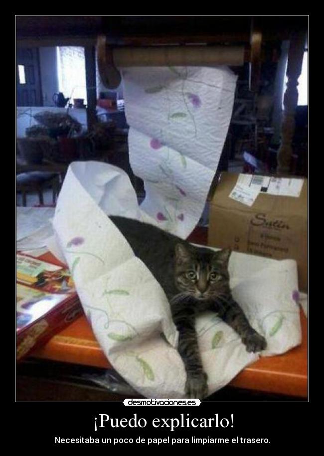 ¡Puedo explicarlo! - Necesitaba un poco de papel para limpiarme el trasero.