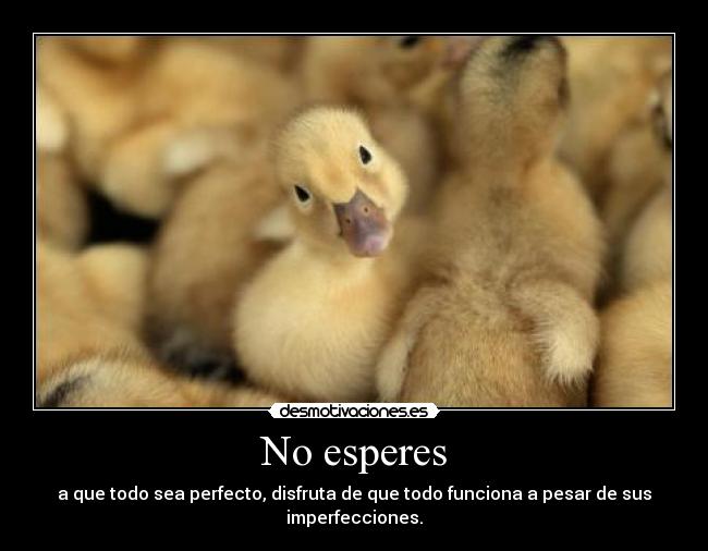 No esperes - 