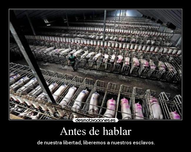 Antes de hablar - de nuestra libertad, liberemos a nuestros esclavos.