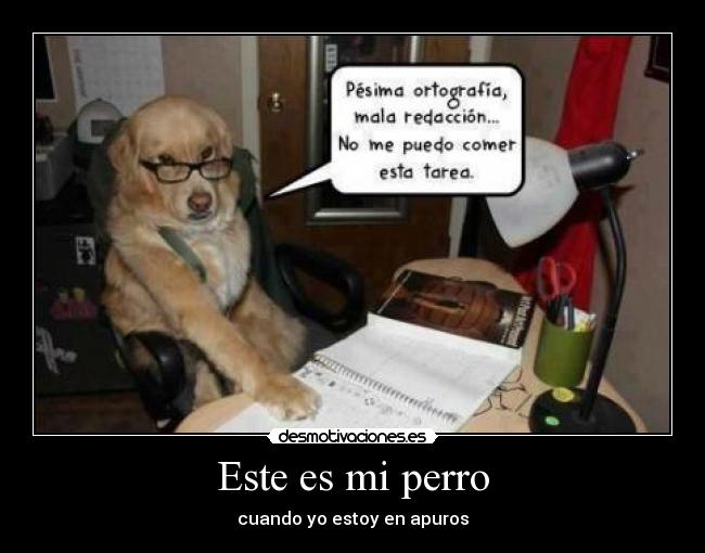 Este es mi perro - 