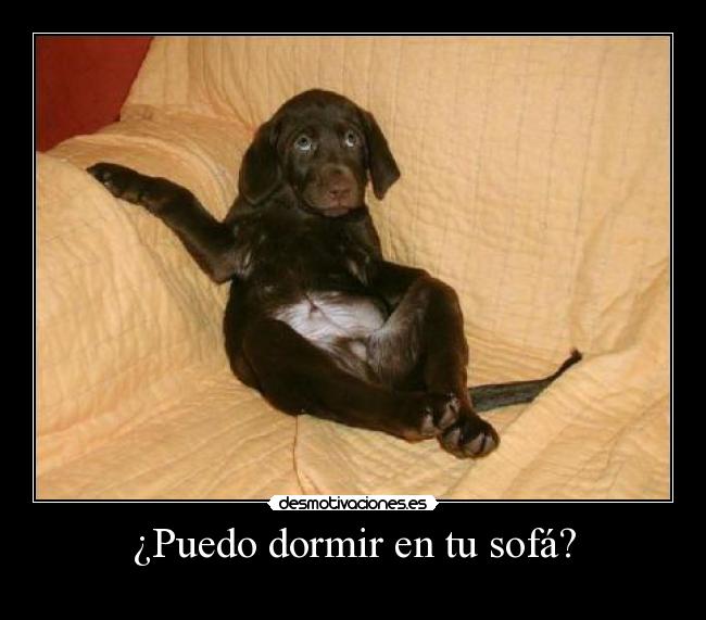 ¿Puedo dormir en tu sofá? -