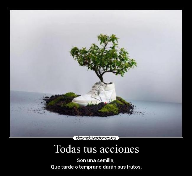 Todas tus acciones -