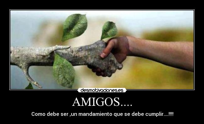 AMIGOS.... - Como debe ser ,un mandamiento que se debe cumplir....!!!!