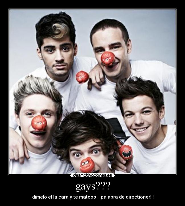 gays??? - dimelo el la cara y te matooo  . palabra de directioner!!!