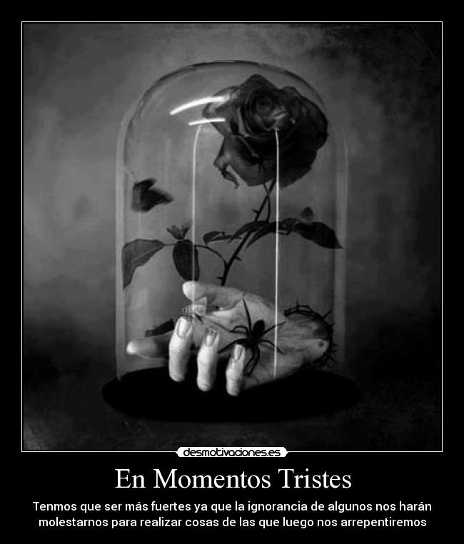 En Momentos Tristes - Tenmos que ser más fuertes ya que la ignorancia de algunos nos harán
molestarnos para realizar cosas de las que luego nos arrepentiremos