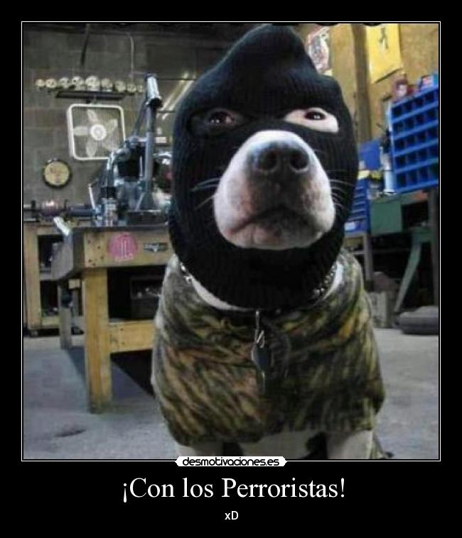 ¡Con los Perroristas! - xD