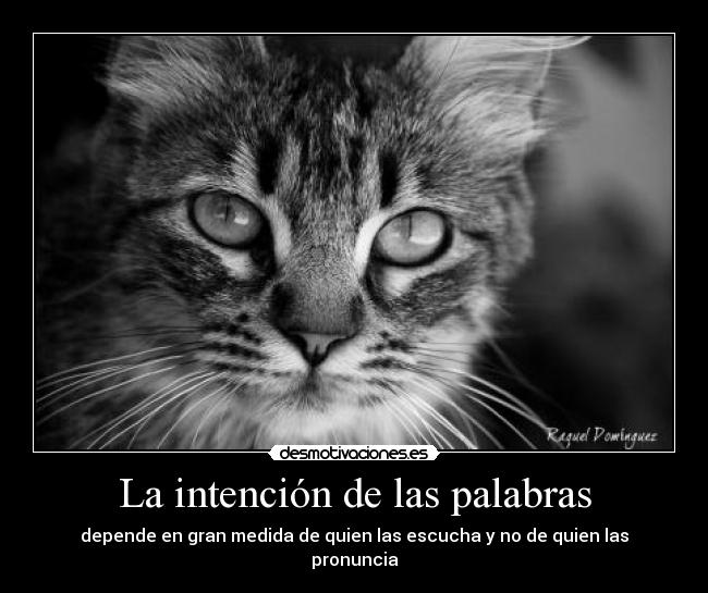 La intención de las palabras - depende en gran medida de quien las escucha y no de quien las pronuncia