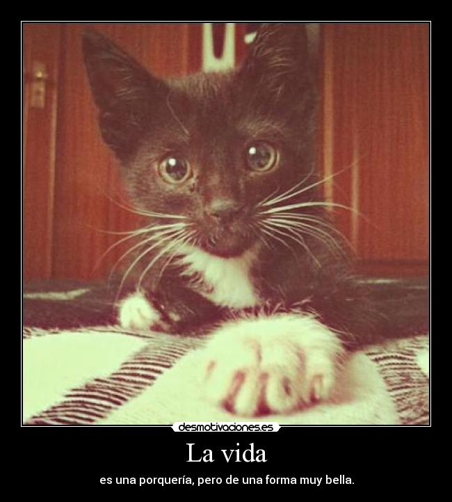 La vida -