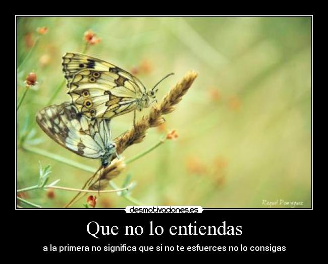 Que no lo entiendas - a la primera no significa que si no te esfuerces no lo consigas
