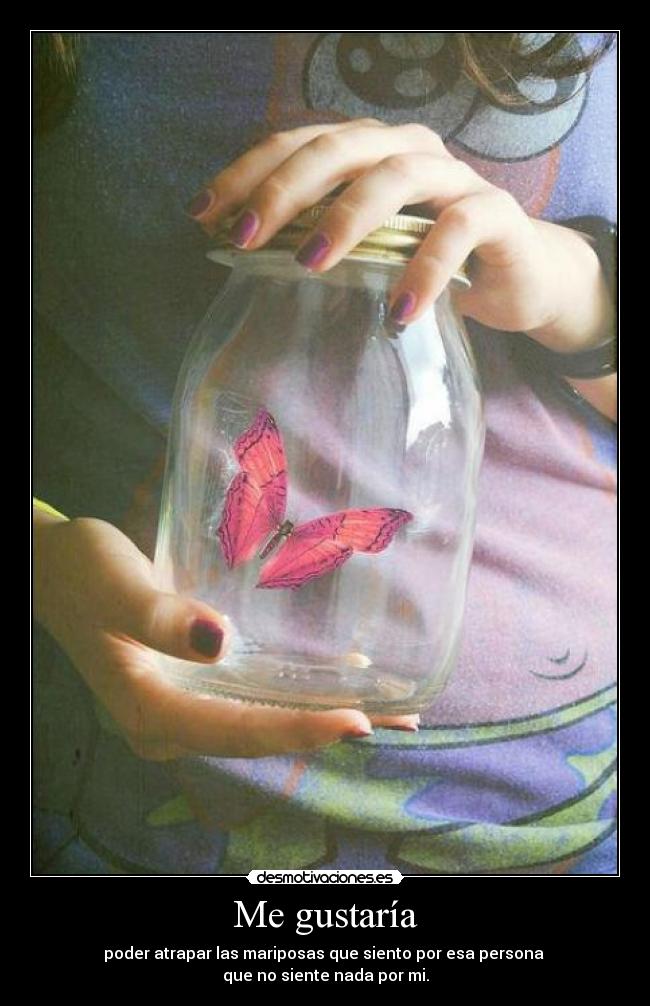 Me gustaría - poder atrapar las mariposas que siento por esa persona
que no siente nada por mi.