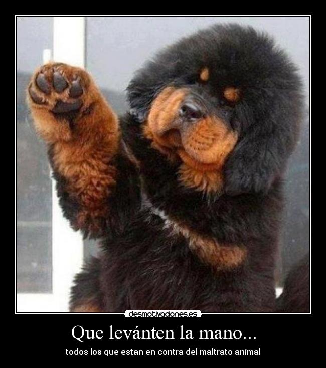 Que levánten la mano... -