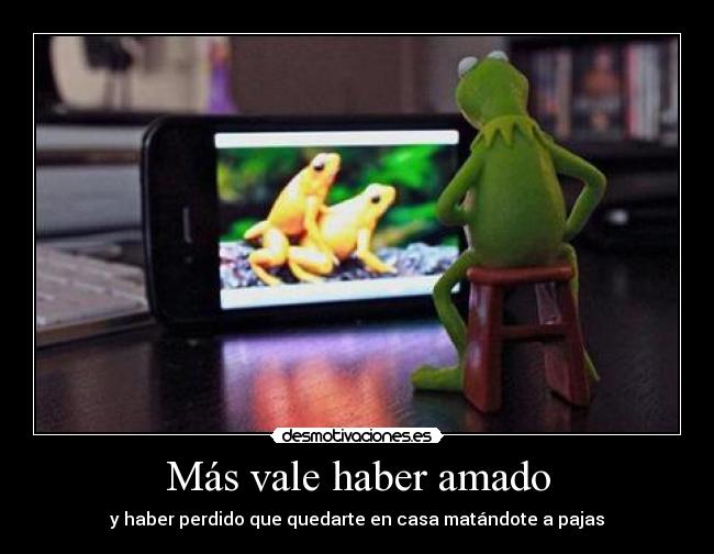 Más vale haber amado -