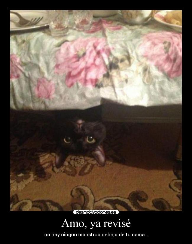 Amo, ya revisé - no hay ningún monstruo debajo de tu cama...