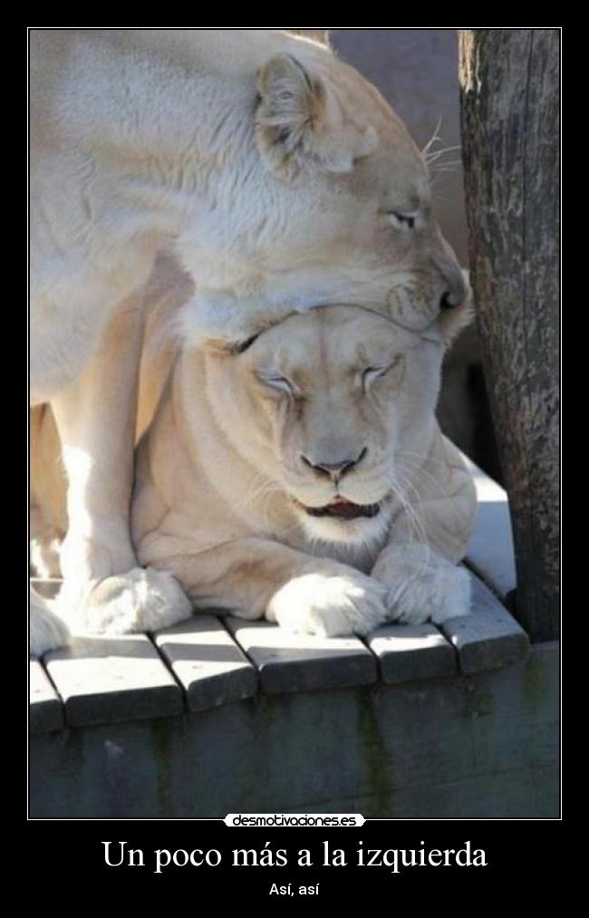 Un poco más a la izquierda -