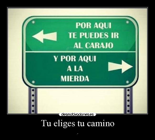 Tu eliges tu camino -