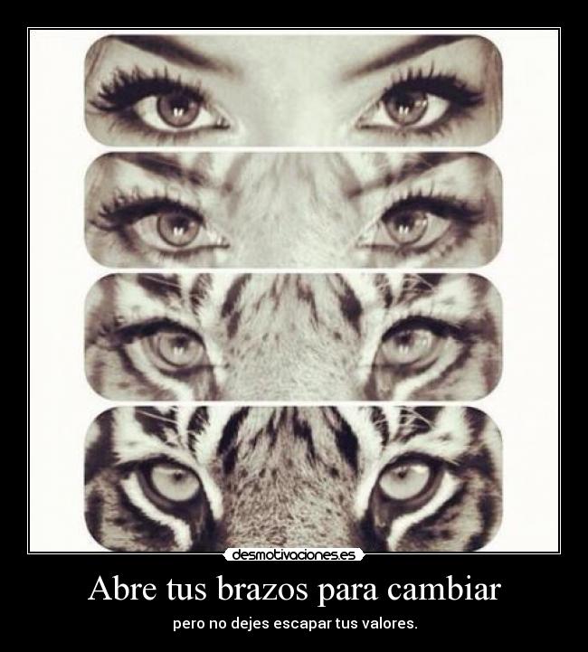 Abre tus brazos para cambiar - pero no dejes escapar tus valores.