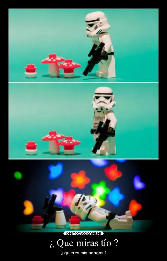 ¿ Que miras tío ? - ¿ quieres mis hongos ?