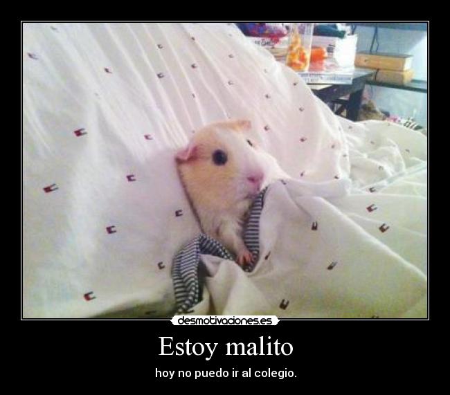 Estoy malito - 