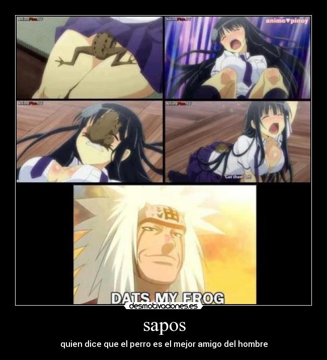 sapos - quien dice que el perro es el mejor amigo del hombre