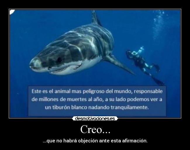 Creo... - ...que no habrá objeción ante esta afirmación.