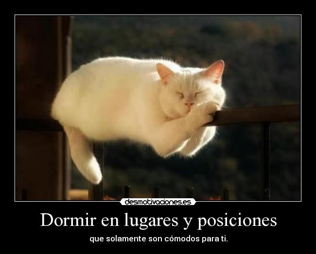 carteles dormir jtcr desmotivaciones