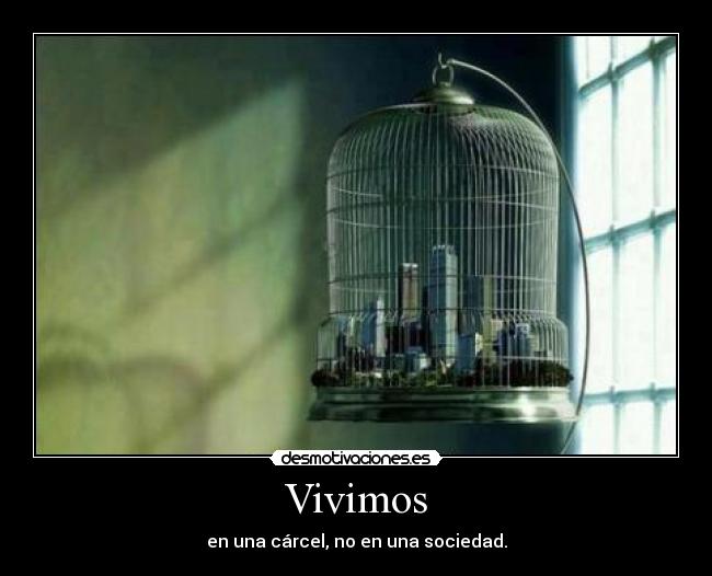 Vivimos -