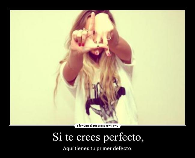 carteles perfeccion desmotivaciones