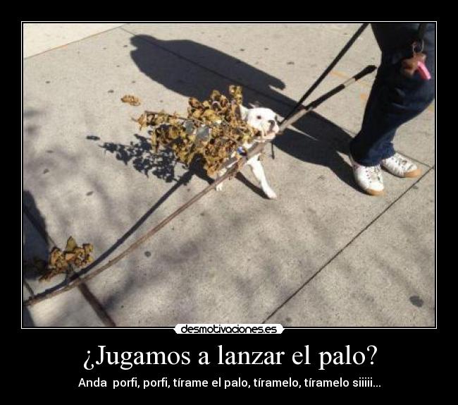 ¿Jugamos a lanzar el palo? - Anda porfi, porfi, tírame el palo, tíramelo, tíramelo siiiii...